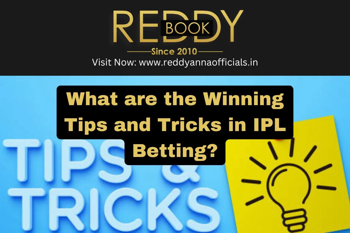 What are the Winning Tips and Tricks in IPL Betting?